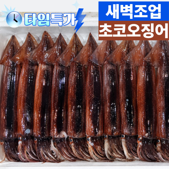 5위 - 국산 생물 활 오징어 초코오징어 산지직송 통찜, 1박스, 4kg