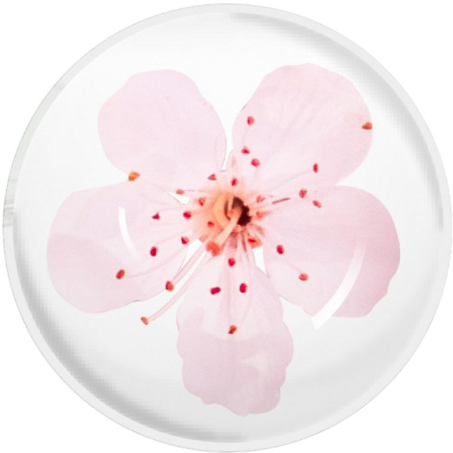 107 디자인 구슬 스마트 톡톡만, 플라워88벚꽃, 1개