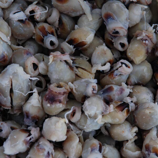 포항마트 조미 오징어입 중대 / 반건조 조미 오징어입 맛있는 오징어입, 1개, 조미오징어입_중대_1kg