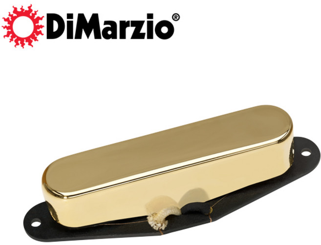디마지오 DiMarzio DP284 Notorious Neck (Gold), 1개, DP284G