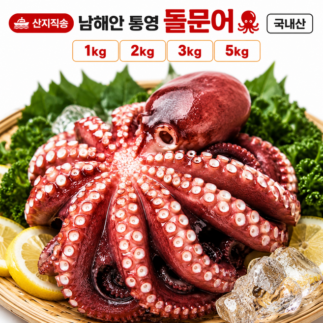2위 - [오픈특가] 국내산 통영 생물 돌문어 산지직송 제수용, 1개, 3kg