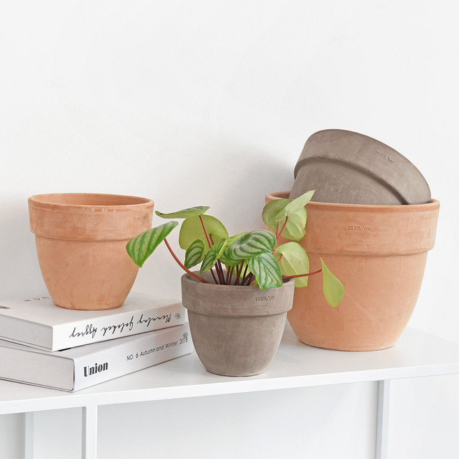 마이플랜트 EV 이브 바소 파타비움팟 이태리토분 (화분 단품), 1개, 아레나