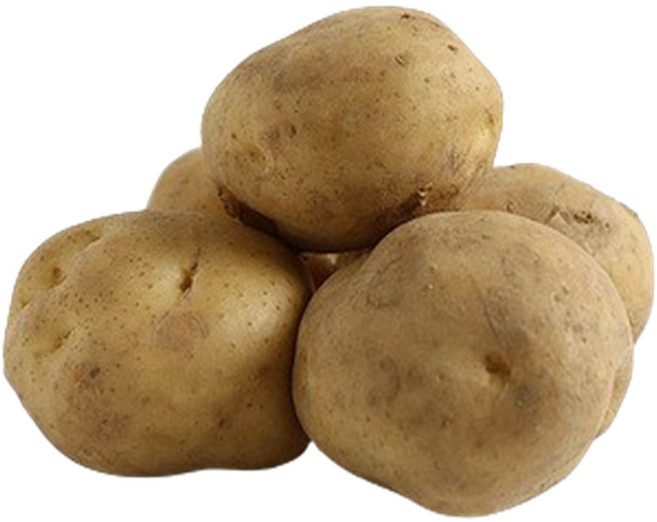 강원 수미 햇감자 특대중소 홍감자 쫀득이 생산지 직송, 1개, 3kg홍감자 왕특