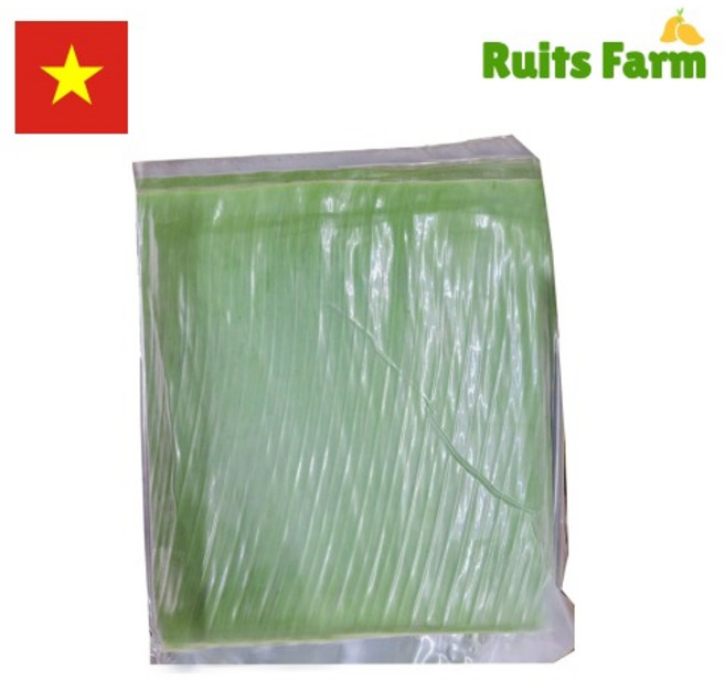 [루츠팜] 베트남 생 바나나잎 1kg 베트남바나나잎 banana leaf 생바나나잎, 1개
