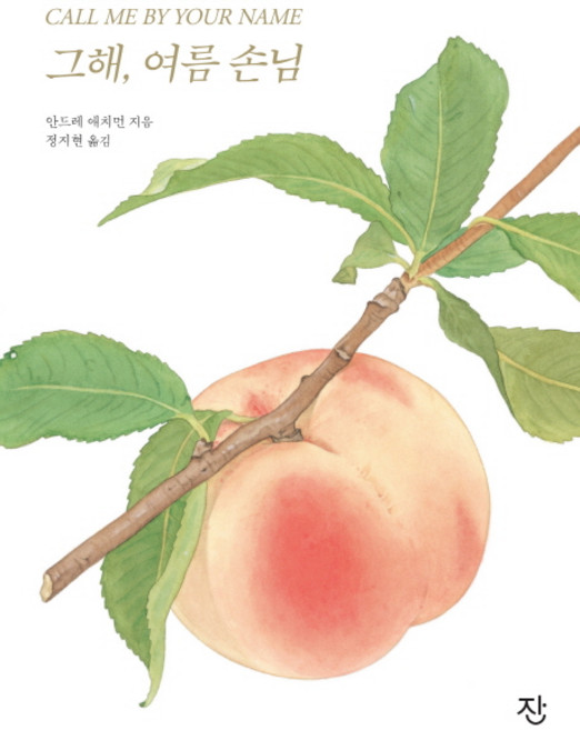 그해 여름 손님, 잔, 안드레 애치먼 저/정지현 역