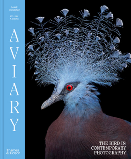 (영문도서)Aviary: The Bird in Contemporary Photography Hardcover, Thames & Hudson, English, 9780500029084