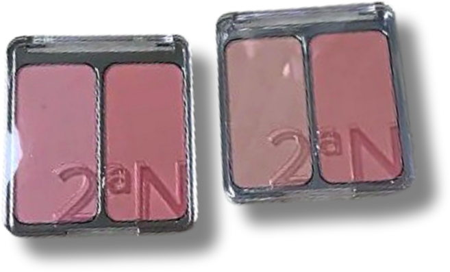 NEW 투에이엔 듀얼치크 9g 19color (색상선택가능) 2aN 써머필터 여름용 블러셔 치크 보송한마무리, 18. 디어 로즈, 1개