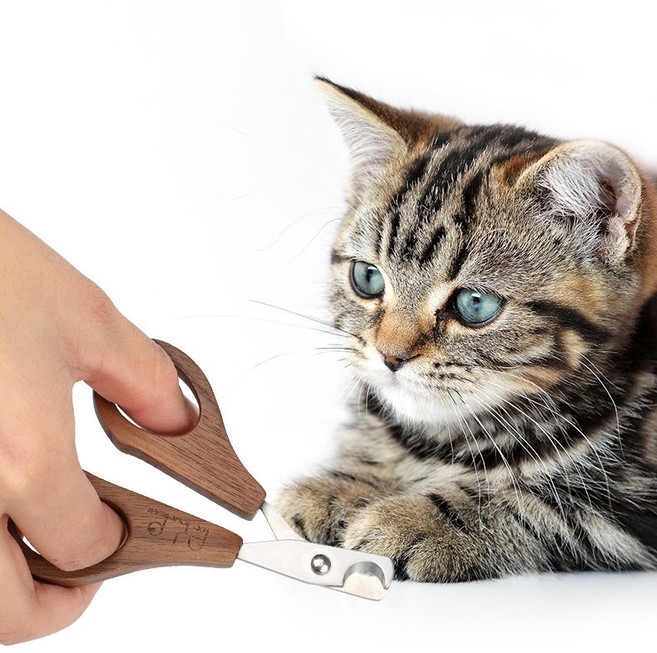 강아지 고양이 목재 손잡이 네일클리퍼 소형견 미용 손톱깎이, 1개, 사진 색상