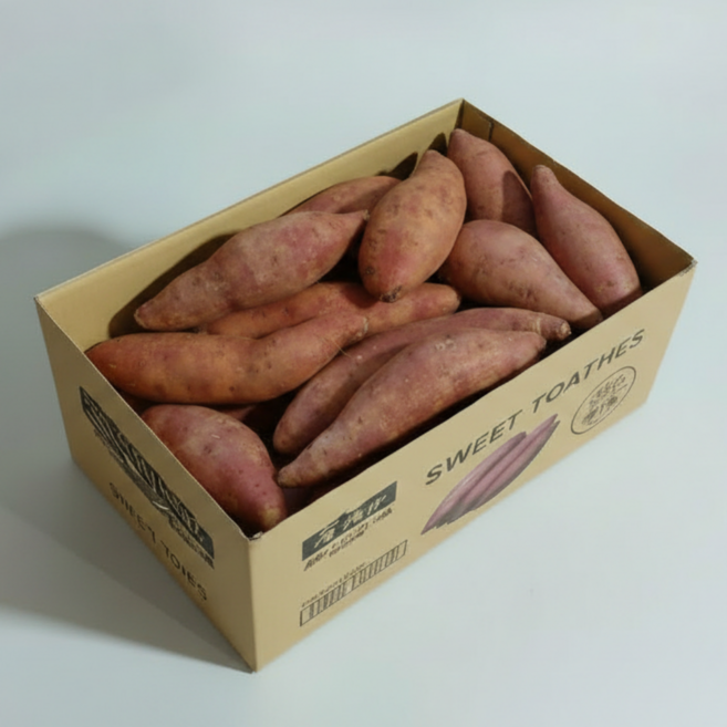 레드이츠 해남 호박 고구마 베니하루카, 1박스, 대 5kg (300g이상)