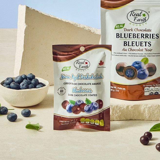 리얼 얼스 블루베리 다크 초콜릿 쵸코볼, 1개, 42g
