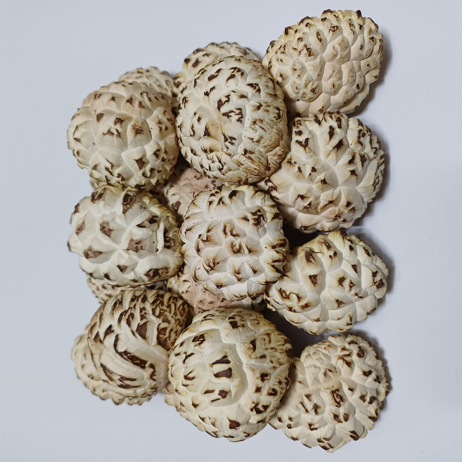 [태현표고농장]국산 참나무재배 말린 건조 건표고버섯 200g 백화고 특품, 1개