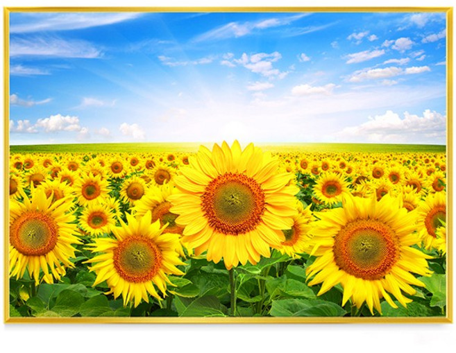 디데코 돈들어오는 황금 햇살 해바라기 그림 골드 액자 거실 현관 풍수 집들이 개업 선물 인테리어 금전운, 1개