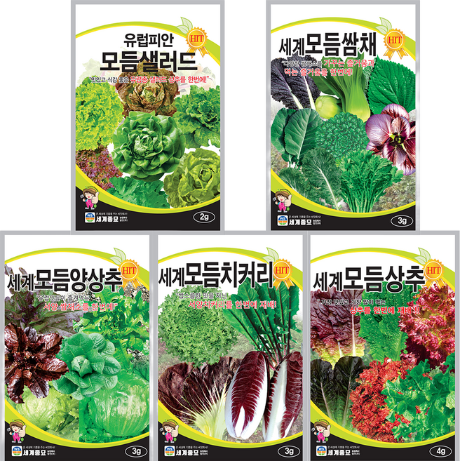 세계 모듬 샐러드 상추 치커리 양상추 쌈채 씨앗 5종 세트, 1개