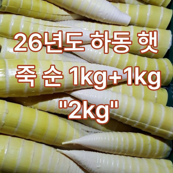 26년 국내산 햇 하동 삶은 죽순 2kg, 2개, 1kg