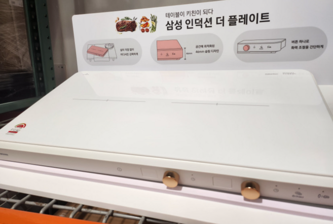 삼성전자 인덕션 더 플레이트 2구, NZ62DG300CFW, 프리스탠딩