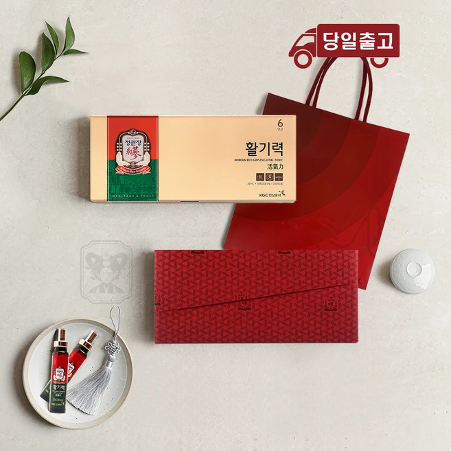 정관장 활기력 10병 정관장포장 선물세트, 200ml, 1개 - 쿠팡