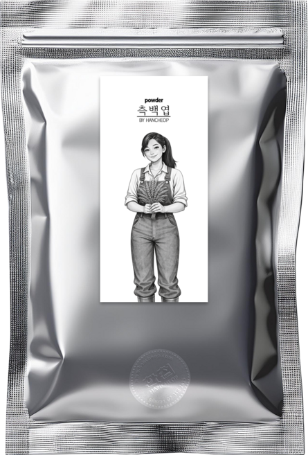측백잎가루 측백 측백엽 분말, 100g, 1개, 1개입