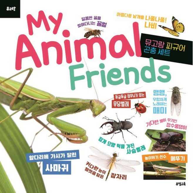뮤고랑 My Animal Friends 곤충, 뮤엠교육