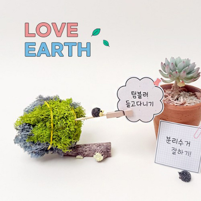 [원예·환경] 스칸디아모스 지구 메모꽂이 만들기 - 1인세트, 단품, 단품