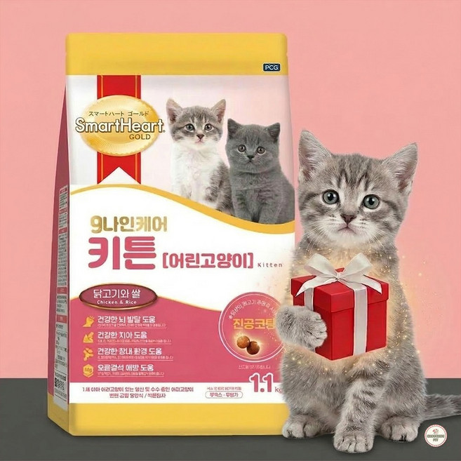 [묘한츄 랜덤 증정!] 나인케어 고양이 기능성 사료, 1kg, 1개, 키튼