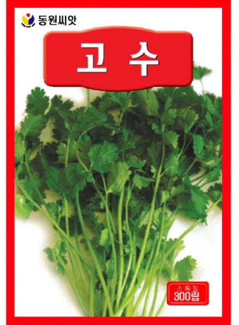 영농사 고수 씨앗 300립 코리안더씨, 4개