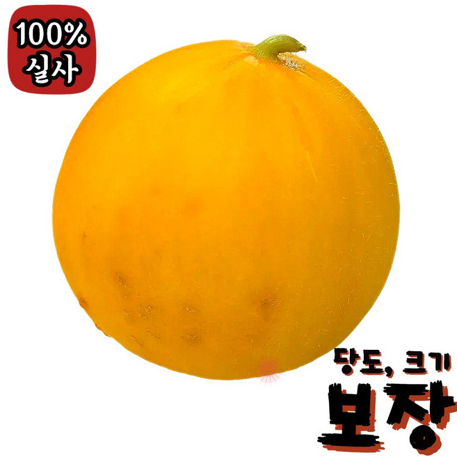 양구메론 노랑 하미과 꿀당도 고품질 중량보장, 1박스, 3kg (1kg 내외) 3-4개