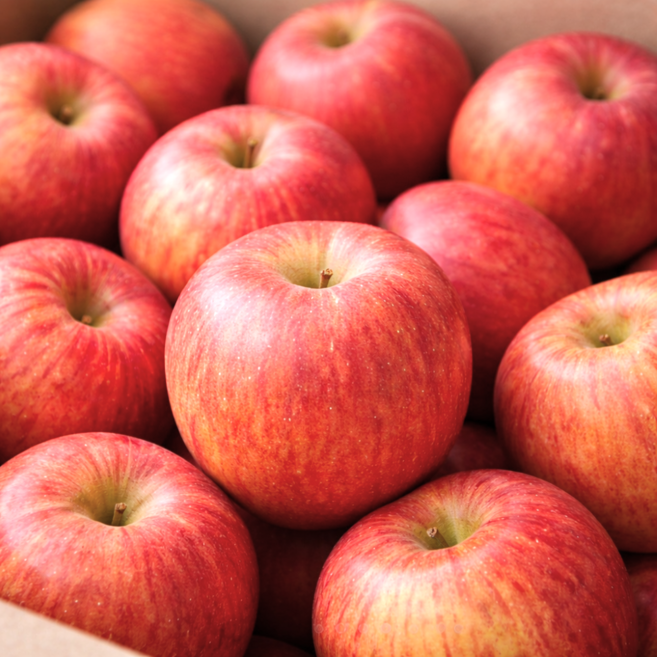 산지직배송 맛보장 안동 꿀 사과 햇살선별 신선보장, 1박스, 사과 5kg