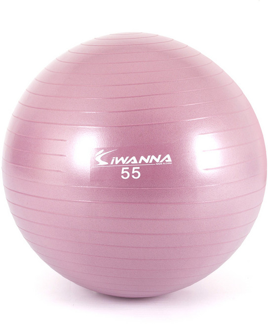 아이워너 안티버스트 짐볼, 와일드핑크