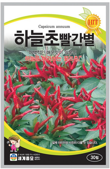 하늘초빨간별 30립 / 텃밭 종자 고추씨앗 고추종자, 1개