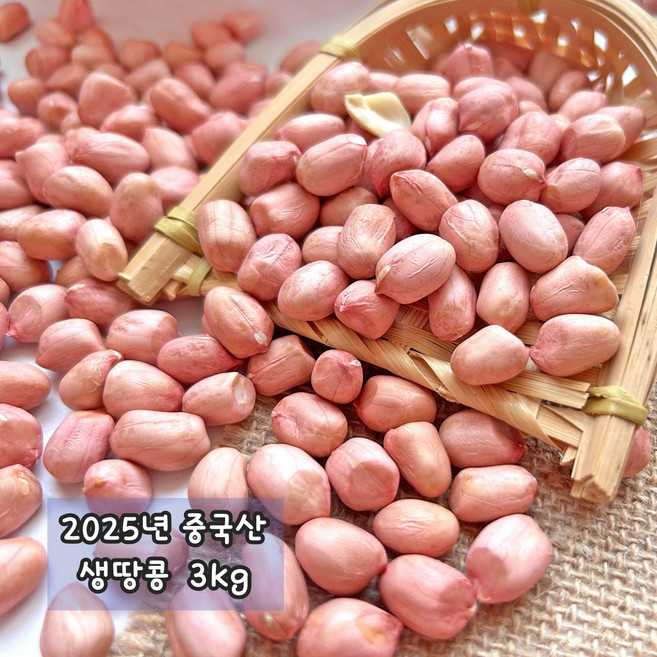 빠른배송 아시아식품 중국산 생땅콩 생알 햇땅콩 올해 수확 피땅콩, 1개, 3kg