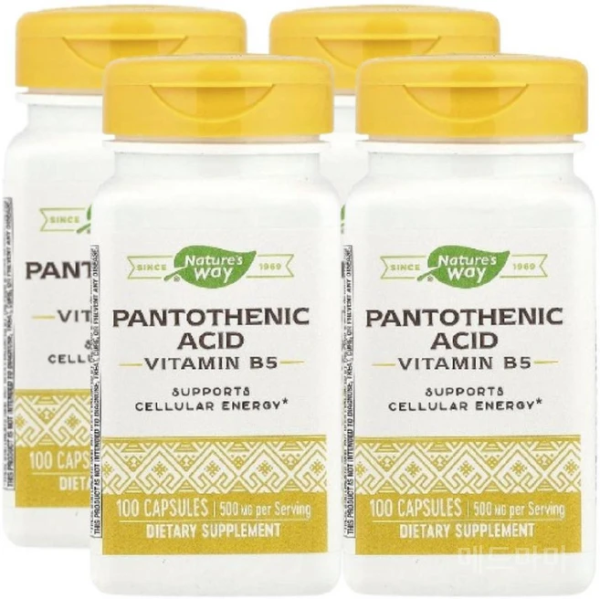 네이처스 웨이 판토텐산 비타민 B5 Pantothenic acid 500mg 100정 4개 - 쿠팡