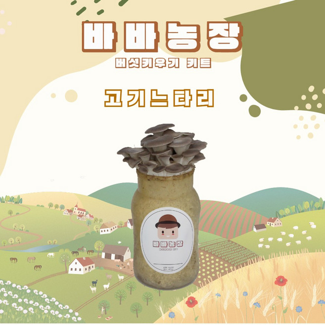 바바농장 고기 느타리 표고 버섯키우기 싱글키트 버섯배지 종균 버섯키트, 1개, 고기느타리배지(싱글키트)
