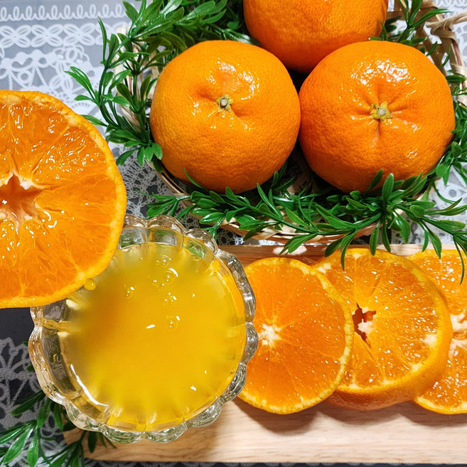 [제주의맛] 달콤한 레드향 산지직송 선물용 가정용, 레드향 중과 5kg(24~30과), 1개