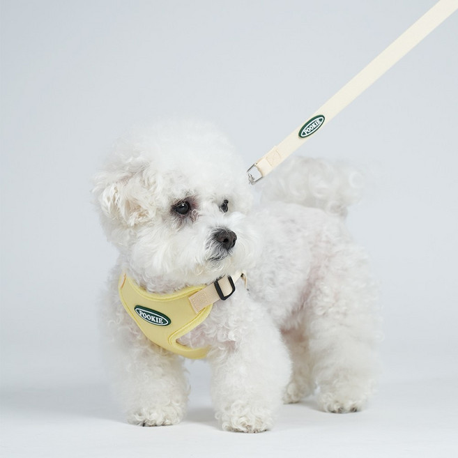 푸키 강아지 시그니처 파스텔 원터치 하네스 + 리드줄세트, 파스텔옐로우