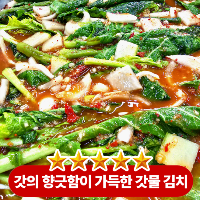 아삭함 뒤에 남는 감칠맛 시원하게 퍼지는 알싸한 맛 여수 갓 물김치, 1박스, 2kg
