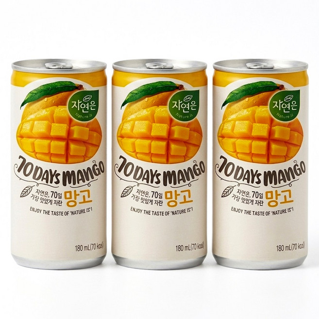 웅진식품 내사랑 자연은 망고, 10개, 180ml