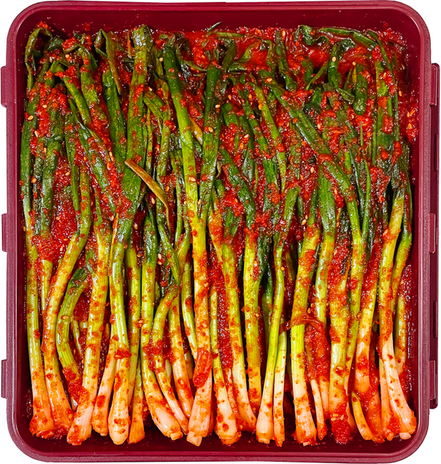 [당일제조] 국산 전라도식 파김치 쪽파김치 신선한 맛, 1개, 3kg