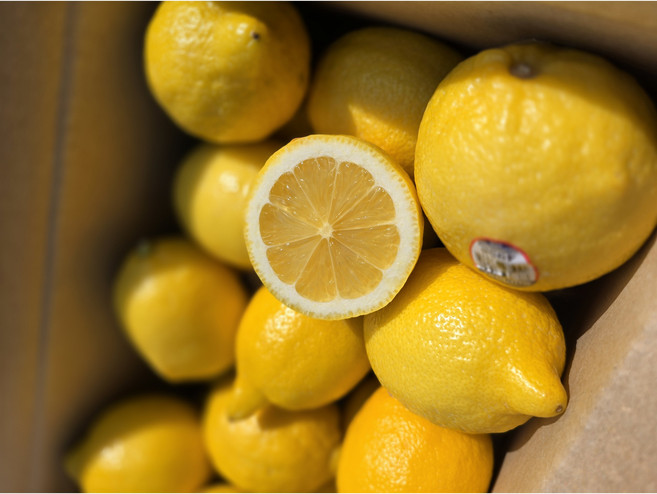 [과일통통배] 우수품질 팬시 생 레몬 20과 중소과 대과, 1박스, 레몬 대과 20개 (2박스+7알추가/합포장)