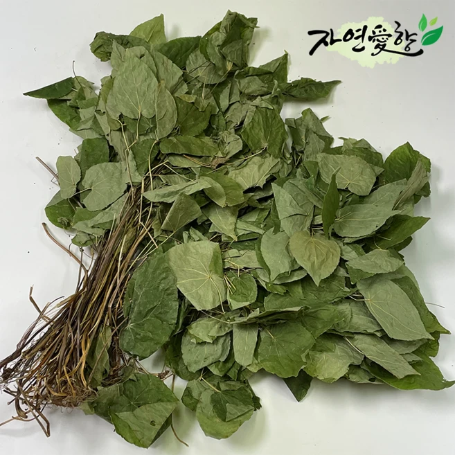 국내산 음양곽 삼지구엽초 자연산 음양각, 100g, 1개 - 쿠팡