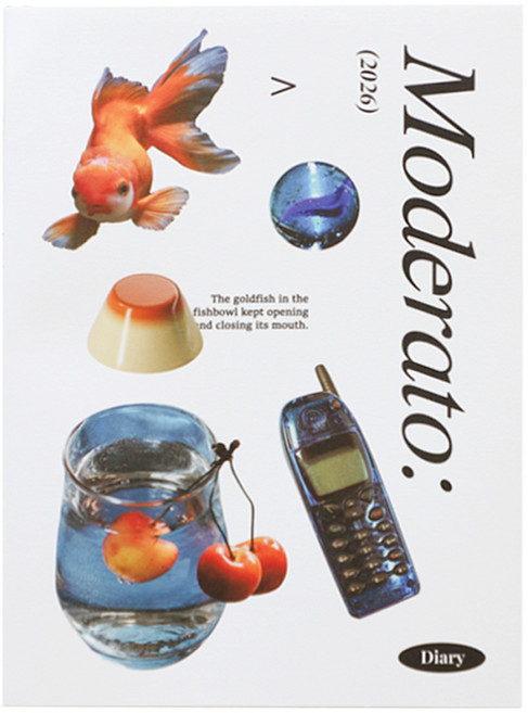 플레플레 2026 모데라토 다이어리, 1개, 3.블루마블