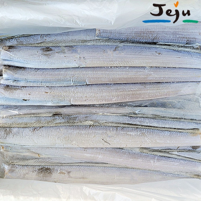 제주 갈치 선동 은갈치 10키로 1박스 간편한 반손질 업소용 갈치 10kg 가정용 대용량 국내산 풀치 칼치, 손질소사이즈(70여미)_손질후7kg