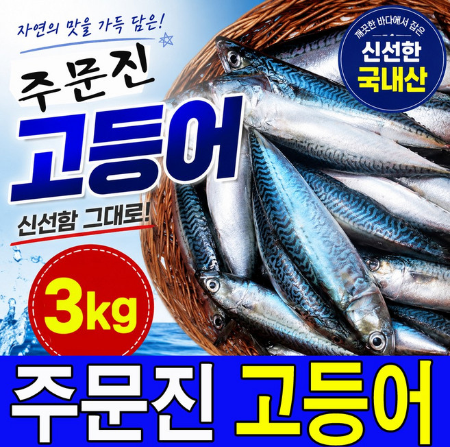 주문진 국내산 생물 생고등어 3kg 8~11마리 신선도 유지를 위해 급속냉동하여 발송, 1세트