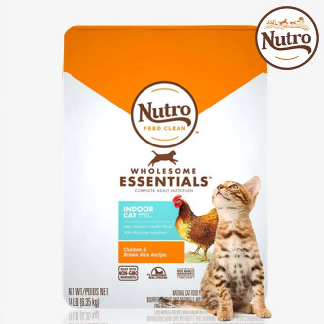 뉴트로 1세이상 인도어 닭고기와 현미 건식사료, 닭, 6.35kg, 1개