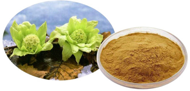 봉두채 머위 농축 추출물, 1개, 1kg