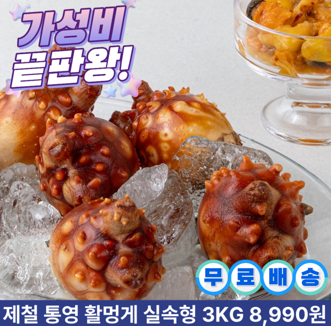 [당일바리]제철 통영 활 멍게 바다향 가득 실속형, 1박스, 실속9KG