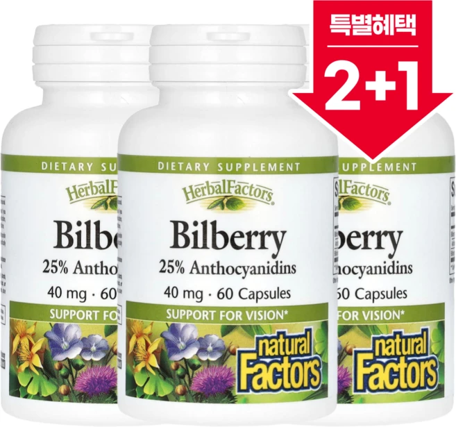 2+1 네추럴팩터스 빌베리 야생 블루베리 추출물 40mg 60캡슐, 60정, 3개 - 쿠팡