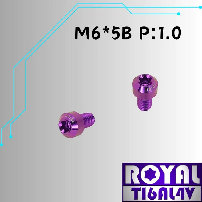 ROYAL 鈦合金螺絲 M6*5B P:1.0 錐形螺絲 皇家紫, 1個