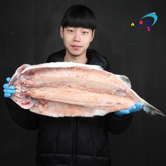 -60도 동해 활복 연어 2kg(손질후) 아가미 내장을 깨끗하게 제거하여 펼친 냉동연어, 1개, 2kg(손질 후)