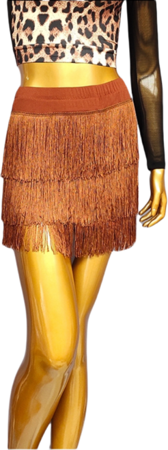 라틴 라인 댄스복 라틴 댄스 스커트연습 의류 여성 성인 스커트 술 스커트 하의 경쟁 댄스 공연 의류, M 브라운 플랫 스커트, 브라운 플랫 스커트