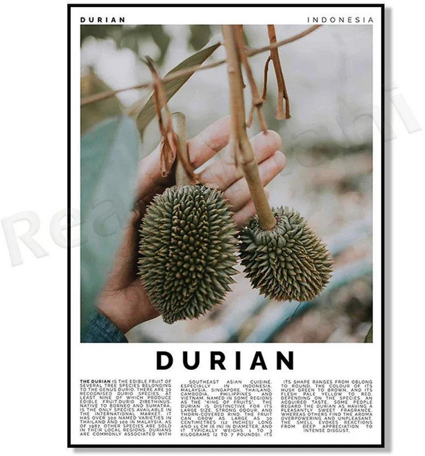리치 아카이 과라나 수박 자보 두리안 람부탄 망고스틴 구아바 바나나 사과 과일 장식 주방 포스터, 1개, 12. 10 / L. 20x25cm Canvas